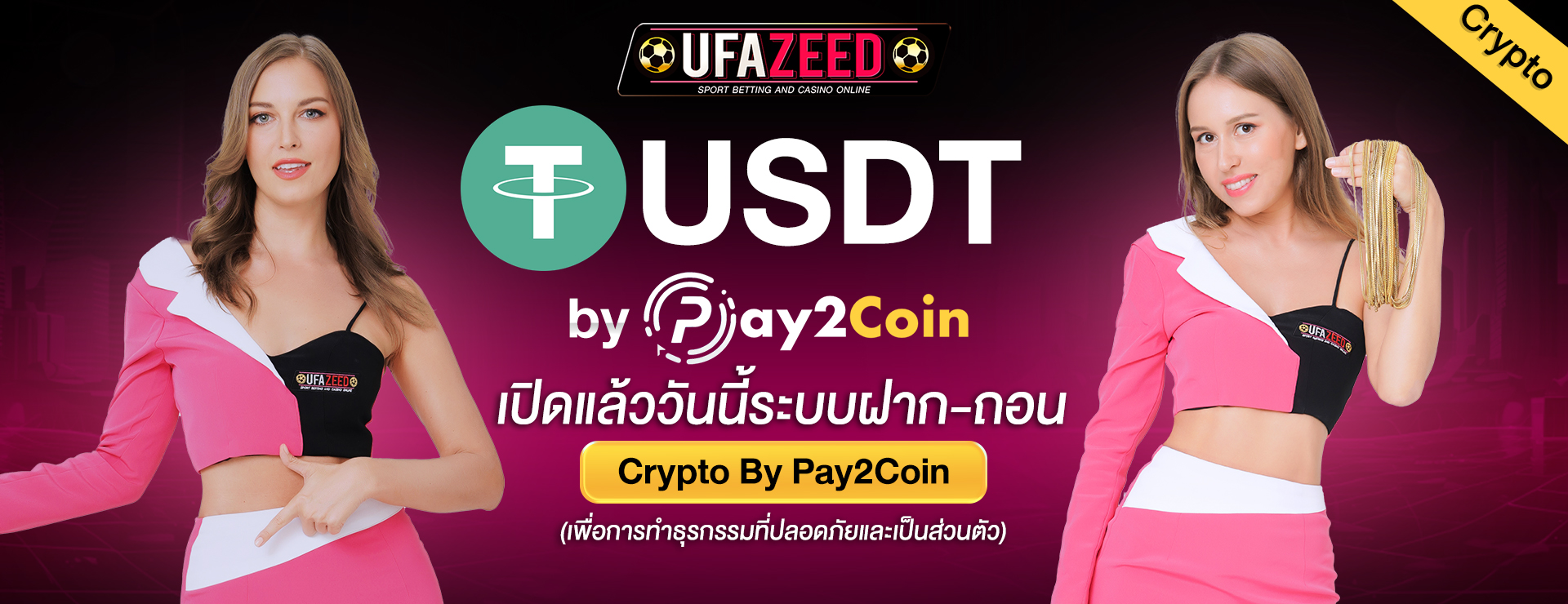 pay2-pc_2